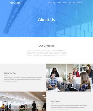 Pursuit-AboutUs